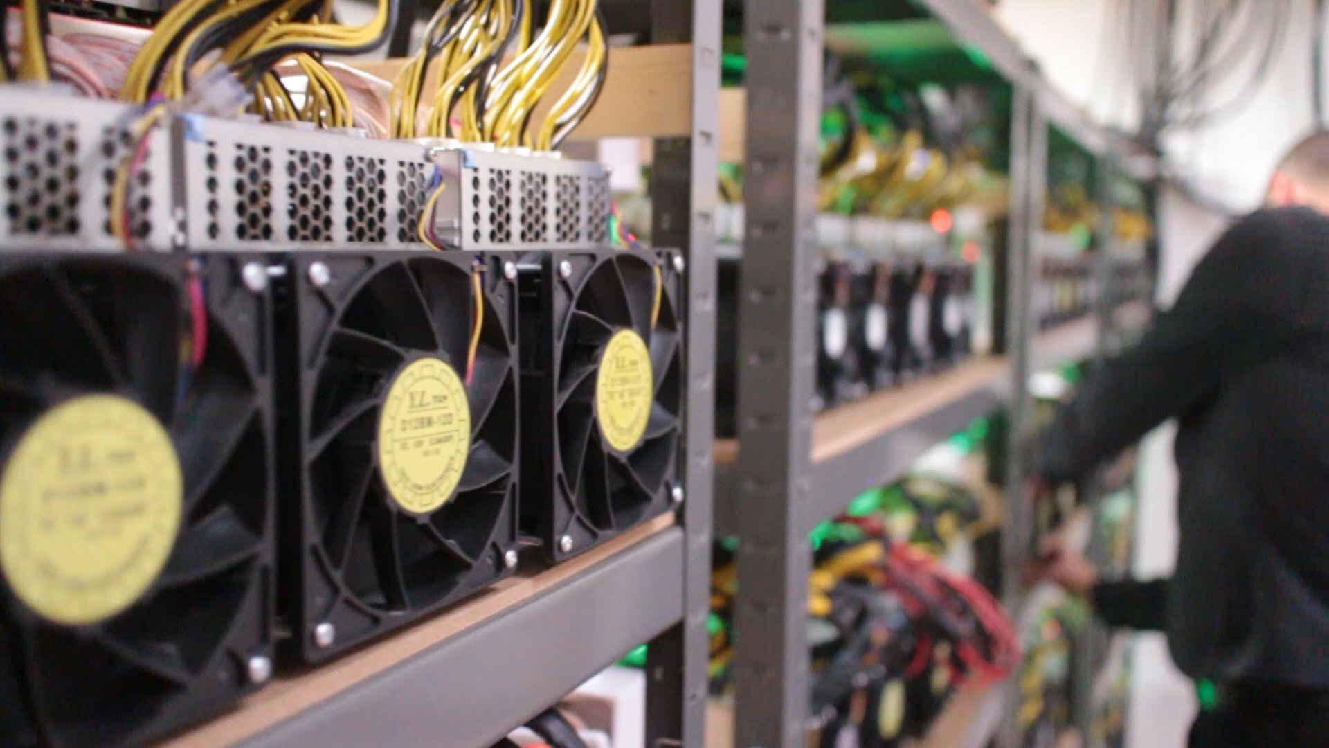 Hosting Service for ASIC & GPU Miners - Total Crypto Mining